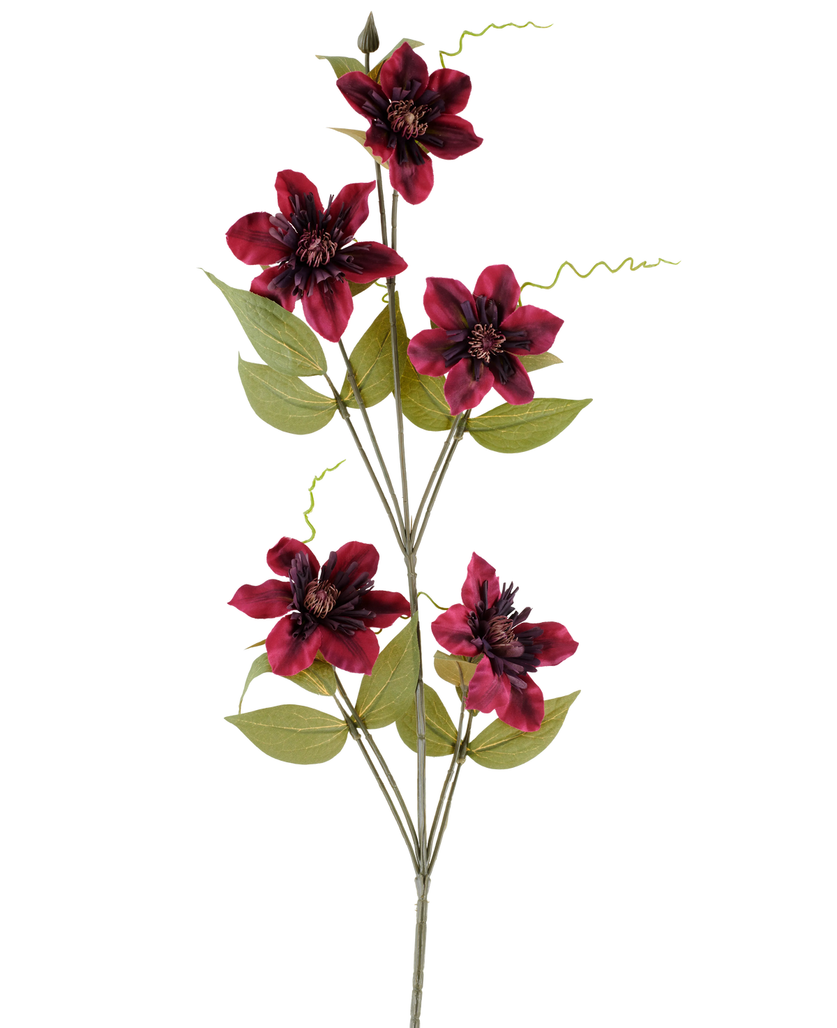 Eine einzelne künstliche Blume Clematis 78 cm Burgund, ein künstlicher Stiel, besteht aus fünf tiefroten, burgunderfarbenen Blüten mit dunkler Mitte, umgeben von grünen Blättern und gekräuselten Ranken, vor einem schlichten weißen Hintergrund.