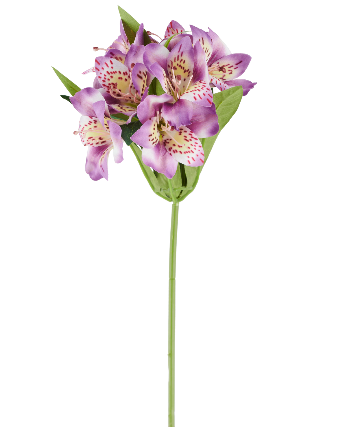 Eine einzelne künstliche Alstroemeria-Blume von 47 cm, lila Farbe, mit mehreren violetten Blüten mit rosa Flecken, grünen Blättern und einem grünen Stiel, fotografiert vor einem weißen Hintergrund.