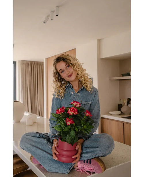 Eine Frau mit lockigem blondem Haar, trägt einen Jeansoverall und rosa Turnschuhe, sitzt mit gekreuzten Beinen auf einer Küchentheke und hält lächelnd die künstliche Gardenie UV 39 cm in Fuchsia in der Hand.