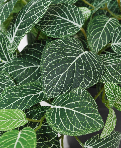 Nahaufnahme der künstlichen hängenden Fittonia grün-weiß im Topf 70 cm UV, mit grünen Blättern mit auffälligen weißen Adern und detaillierten Adermustern in verschiedenen Grüntönen.