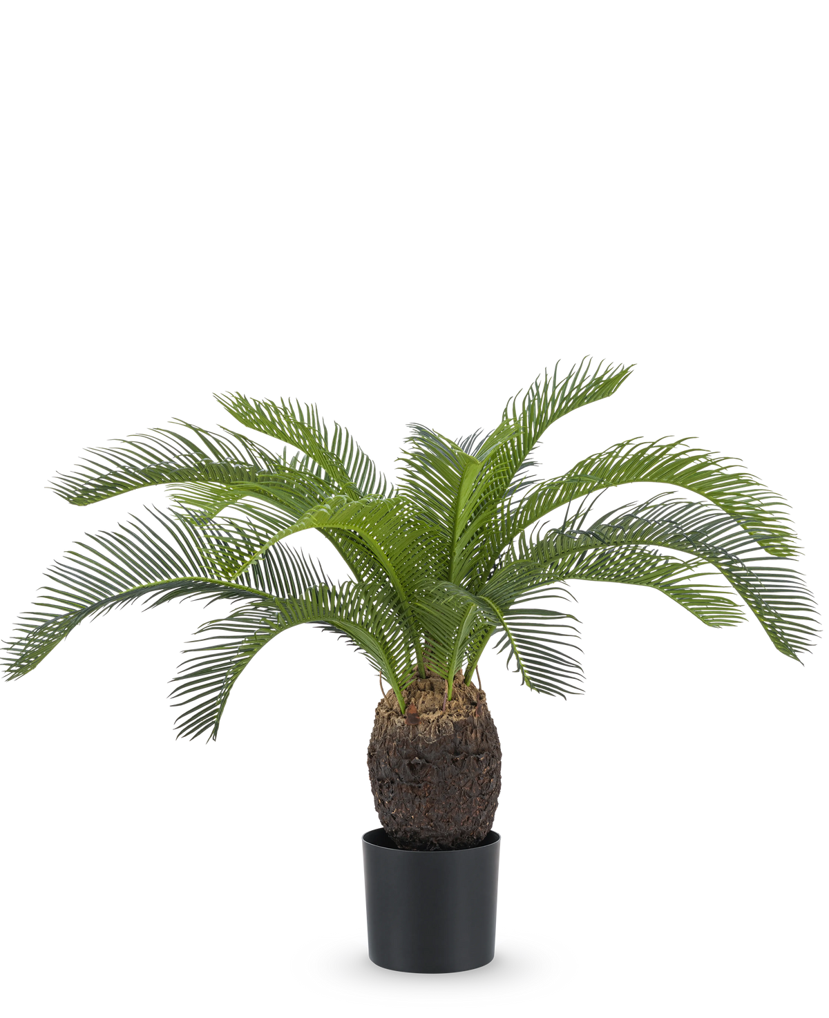 Die künstliche Pflanze Baby Cycas Palm 60 cm hat lange, gebogene grüne Blätter und einen dicken, strukturierten braunen Stamm, präsentiert in einem Topf vor einem schlichten weißen Hintergrund.