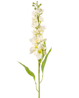 Die Kunstblume Asiatischer Apfel 84 cm creme hat einen langen Stiel mit mehreren zarten cremefarbenen Blüten und langen, schmalen grünen Blättern vor einem schlichten weißen Hintergrund.
