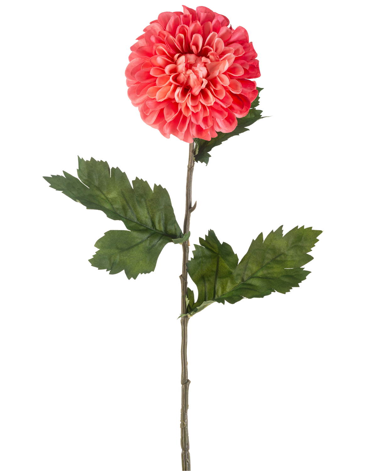 Die künstliche Blumen-Dahlie 75 cm rot ist eine einzelne künstliche rote Dahlienblume mit geschichteten Blütenblättern und mehreren grünen Blättern an einem langen grünen Stiel, isoliert auf einem weißen Hintergrund.