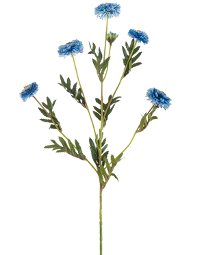 Die künstliche Blumen-Pompon-Chrysantheme 69 cm blau hat einen einzelnen grünen Stiel mit mehreren Zweigen, sechs blaue Kunstblumen mit gelben Herzen und schmalen grünen Blättern, alles auf weißem Hintergrund.