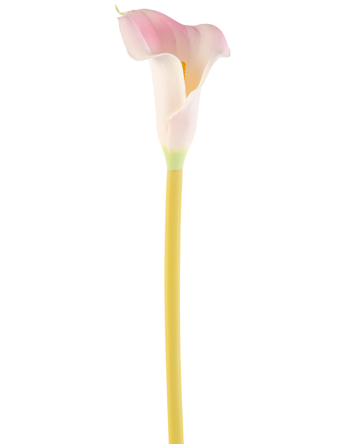 Die künstliche Calla-Blume 64 cm Blush, eine einzelne rosa-weiße Calla-Lilie mit gelbem Stiel, wird vor einem schlichten weißen Hintergrund dargestellt.
