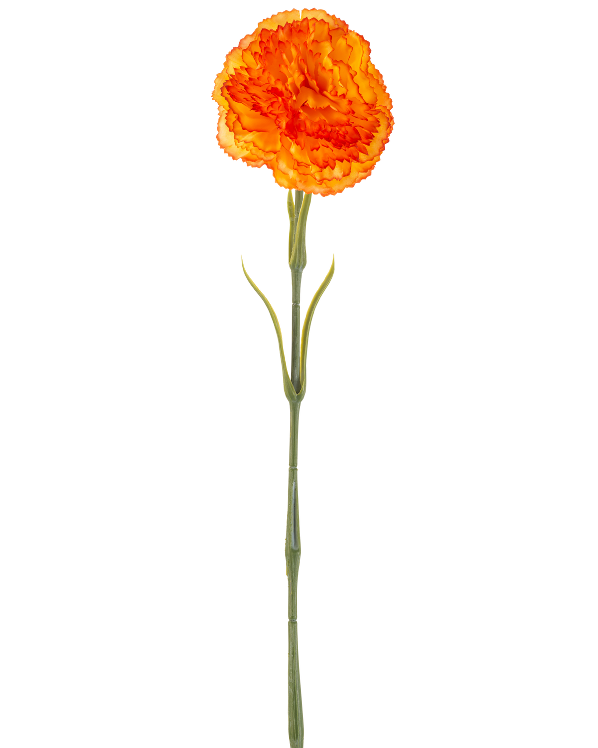 Die künstliche Blumennelke 57 cm orange ist eine künstliche orangefarbene Nelke mit Rüschen in den Blütenblättern und einem langen grünen Stiel, isoliert auf weißem Hintergrund.