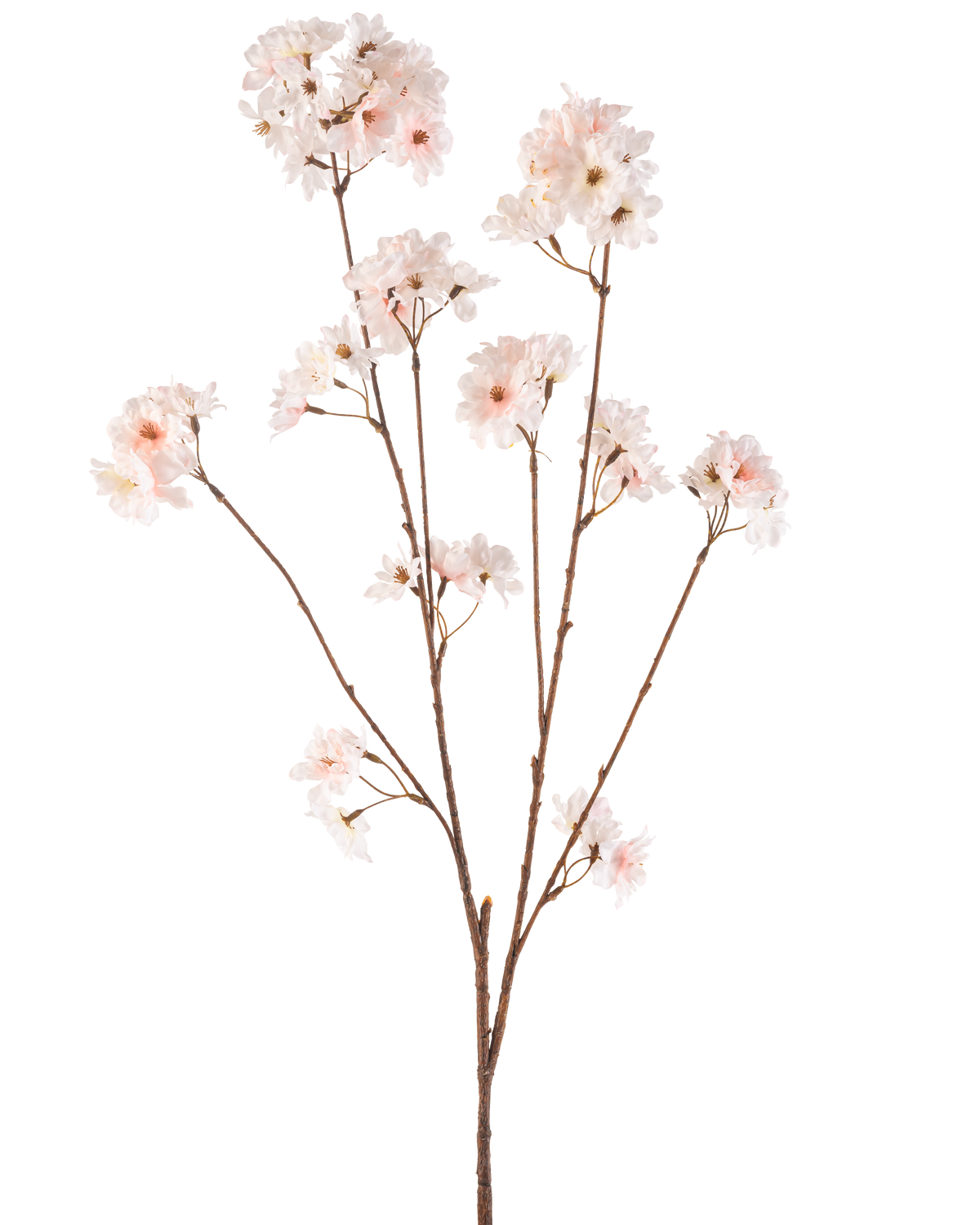 Die künstliche Blume Kirschblüte 114 cm in Rouge hat einen einzelnen braunen Stiel mit mehreren Zweigen, die mit zarten, rosafarbenen Kirschblütenblüten gekrönt sind, die wunderschön isoliert auf einem weißen Hintergrund stehen.