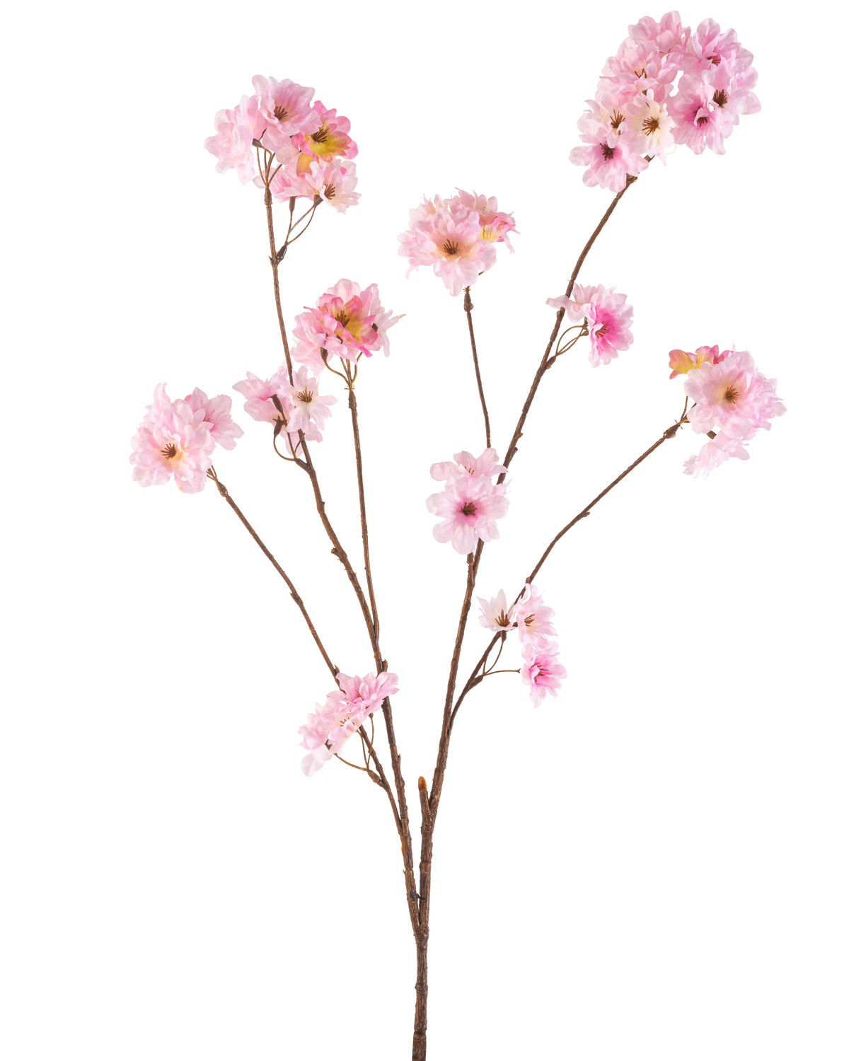 Die Kunstblume Kirschblüte 114 cm rosa hat mehrere schlanke braune Stiele mit Büscheln zartrosa Kirschblüten vor einem schlichten weißen Hintergrund.