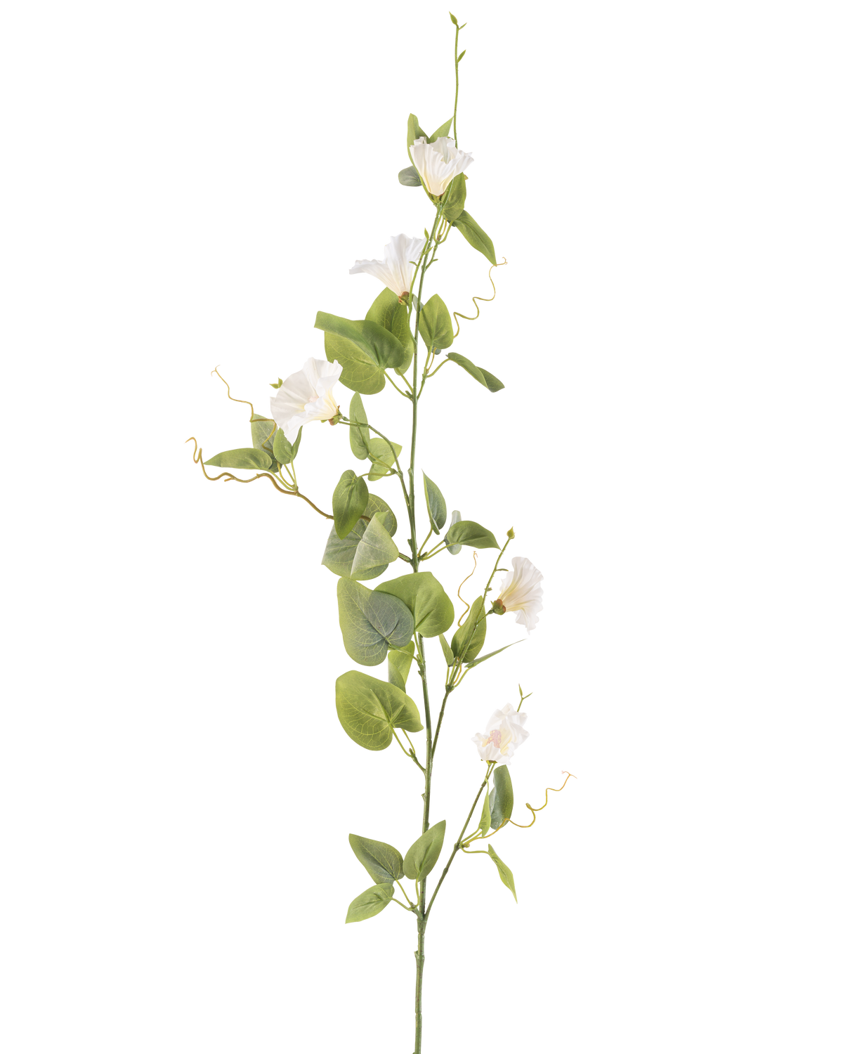 Die künstliche Blumenwinde 122 cm weiß hat einen einzelnen Stiel mit kleinen weißen Blüten, grünen Blättern und gekräuselten Ranken vor einem schlichten weißen Hintergrund.