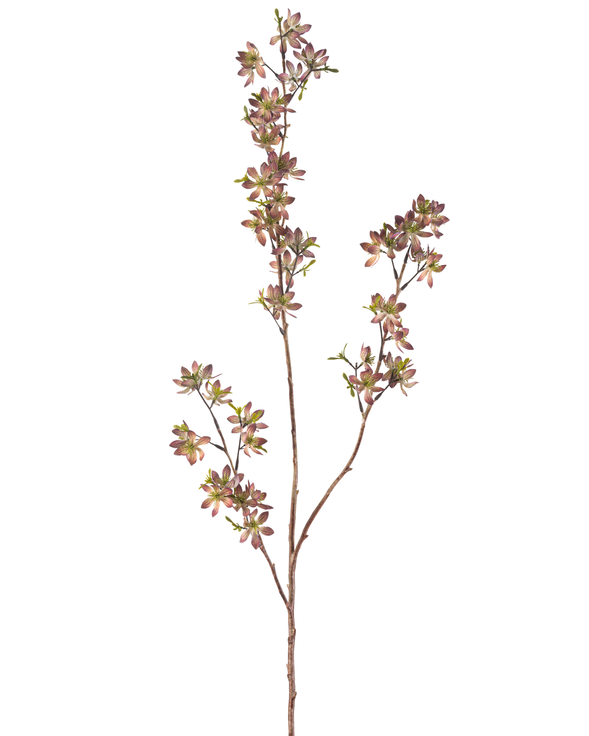 Die künstlichen Blumen 102 cm lila/grün haben einen einzelnen braunen Stiel mit mehreren Zweigen, die jeweils mit kleinen gefleckten lila und grünen Blättern vor einem schlichten weißen Hintergrund verziert sind.
