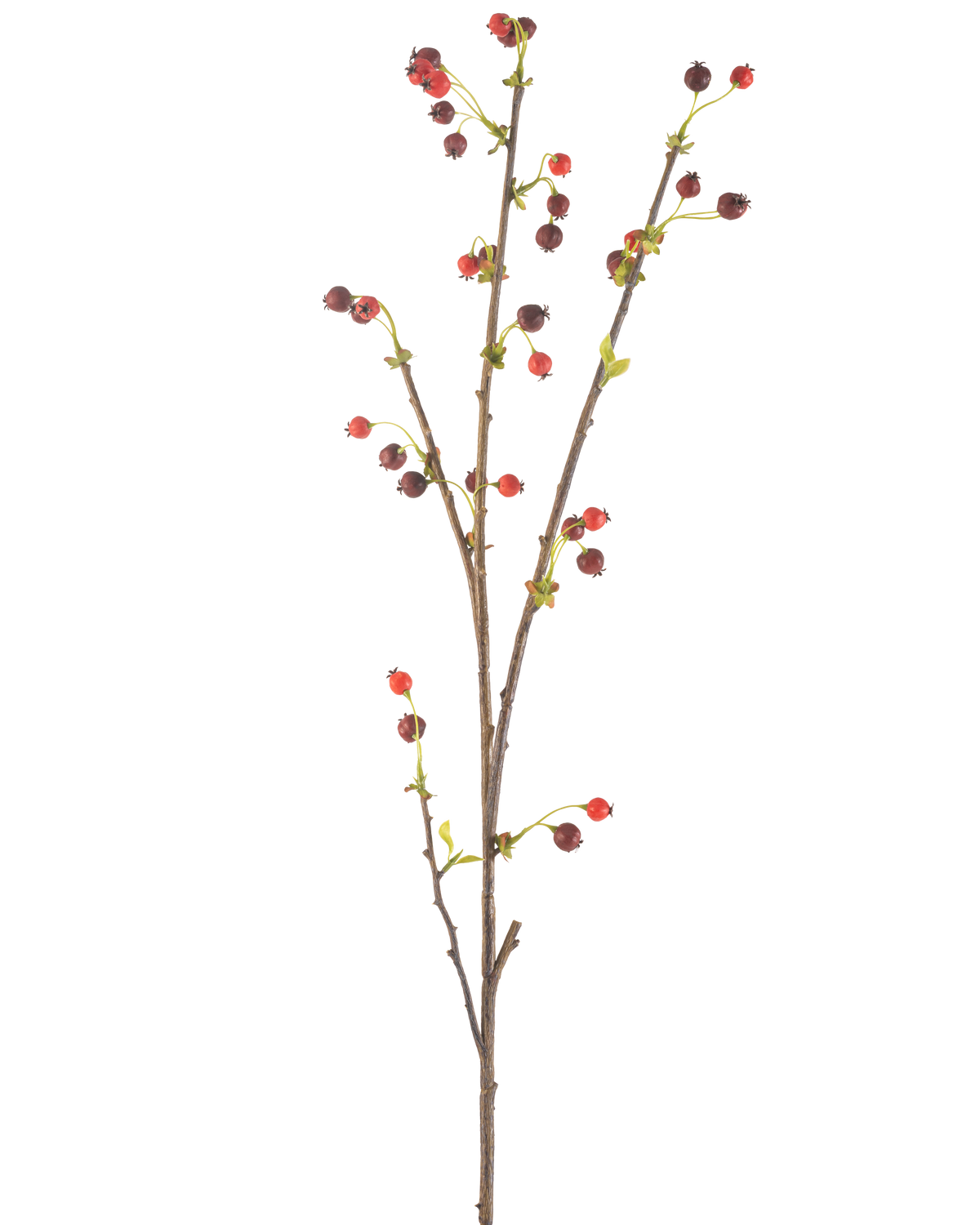 Die künstliche Hagebuttenblume 112 cm rot hat einen einzelnen braunen Zweig mit kleinen roten und dunkelvioletten Beeren und ein paar hellgrünen Blättern vor einem schlichten weißen Hintergrund.