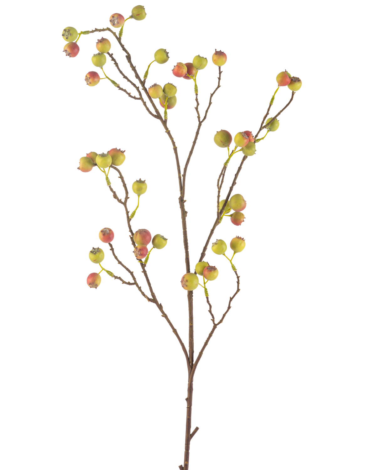 Die Kunstblume Weißdornbeere 104 cm grün/rot hat einen schlanken braunen Stiel mit mehreren Zweigen, die jeweils mit Büscheln kleiner grüner und roter Beeren vor einem weißen Hintergrund verziert sind.