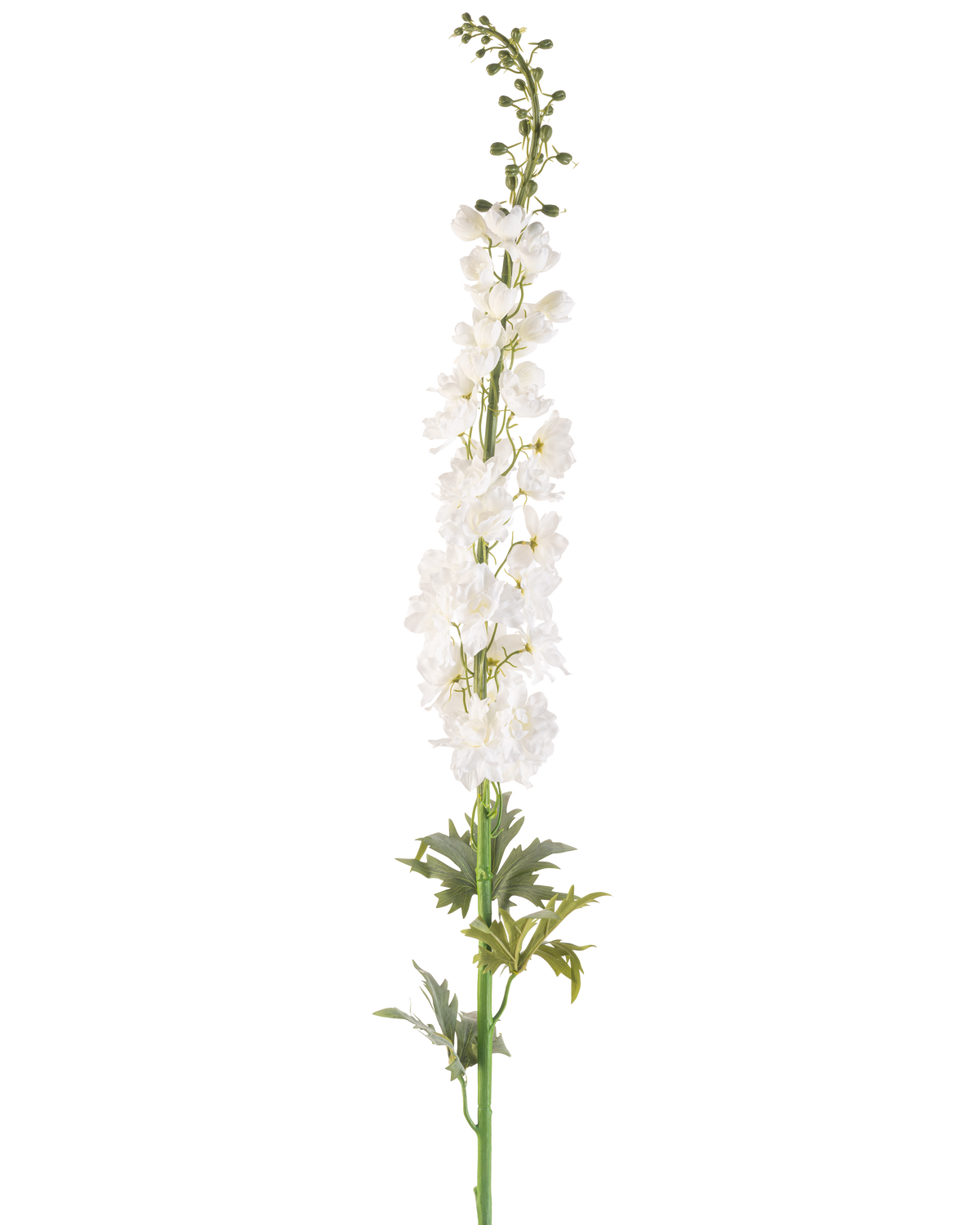Die künstliche Blume Rittersporn 137 cm weiß ist ein hoher künstlicher Sporenstiel mit mehreren kleinen weißen Blüten entlang der Länge und grünen Blättern an der Basis vor einem schlichten weißen Hintergrund.