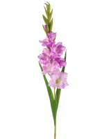 Ein einzelner künstlicher Gladiolus-Stiel von 93 cm mit mehreren rosa und hellvioletten Blüten mit langen grünen Blättern, isoliert auf weißem Hintergrund.