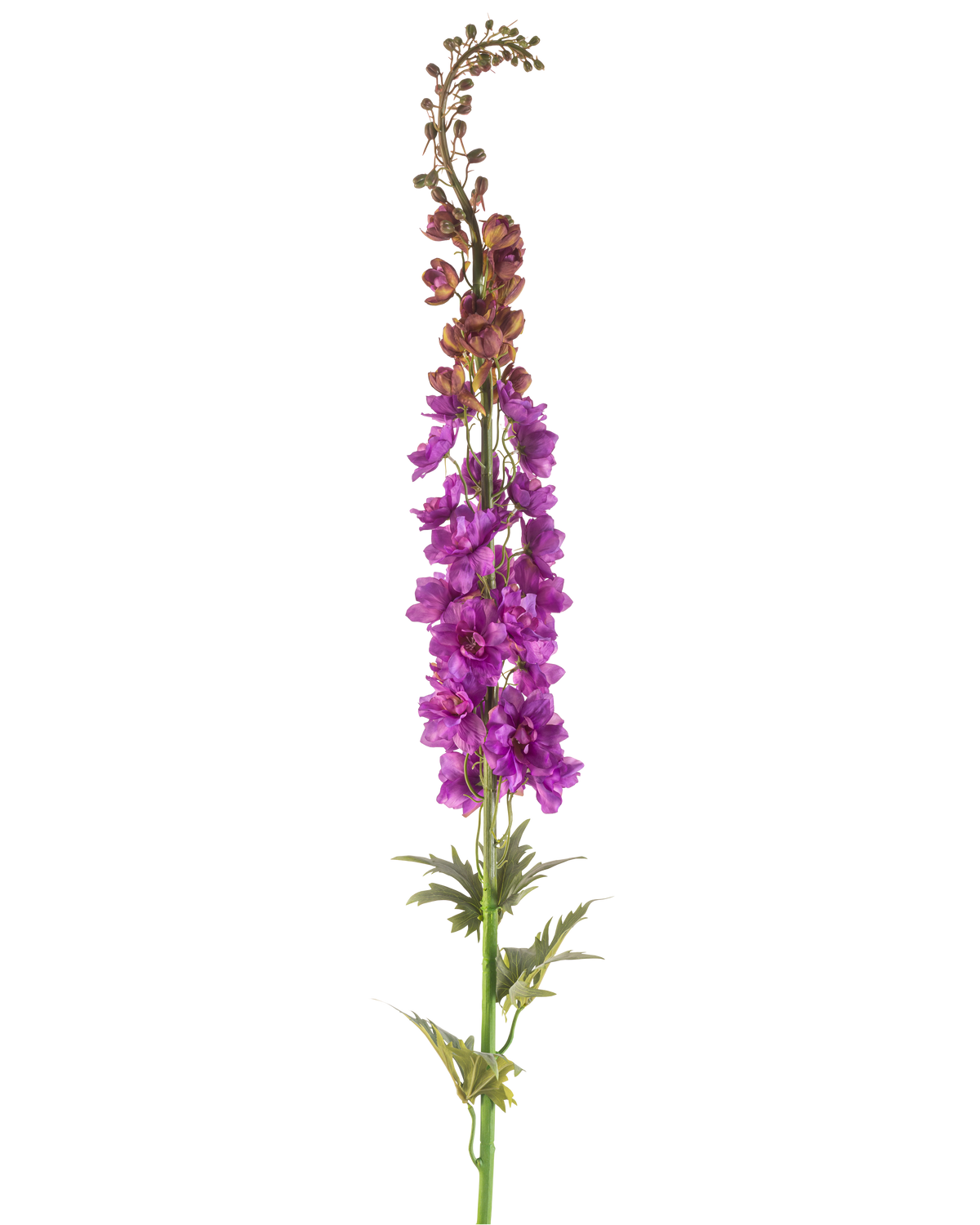 Die künstliche Blume Rittersporn 137 cm lila hat einen hohen grünen Stiel mit tief gelappten Blättern und Büscheln leuchtend lila Blüten an der Spitze vor einem weißen Hintergrund.