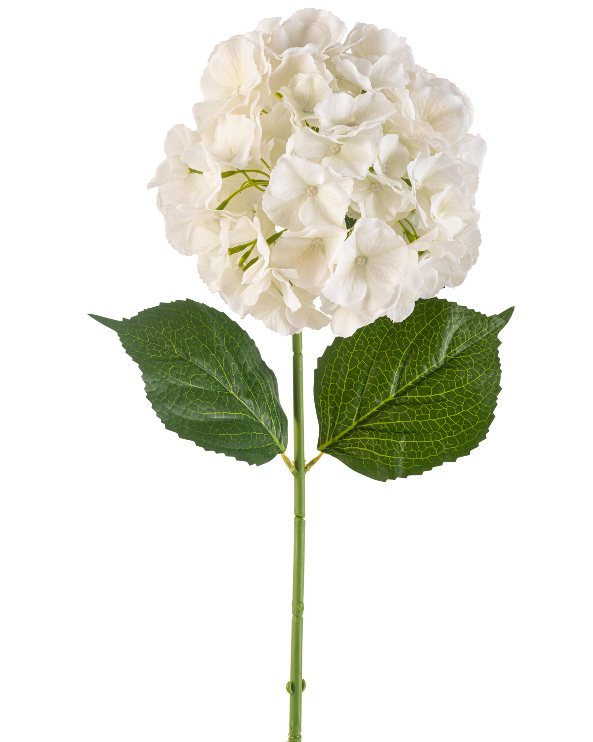 Die künstliche Blumenhortensie 75 cm creme hat eine einzelne cremefarbene Hortensienblüte mit mehreren Blütenblättern und drei großen grünen Blättern an einem langen grünen Stiel, isoliert auf einem weißen Hintergrund.