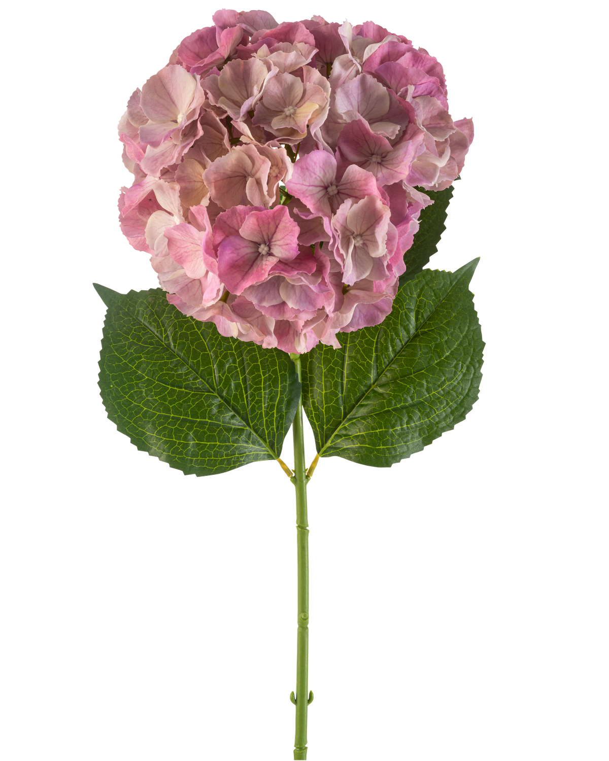 Die künstliche Blumenhortensie 75 cm lila hat eine einzelne lila Hortensienblüte mit grünen Blättern an einem langen Stiel vor einem weißen Hintergrund.