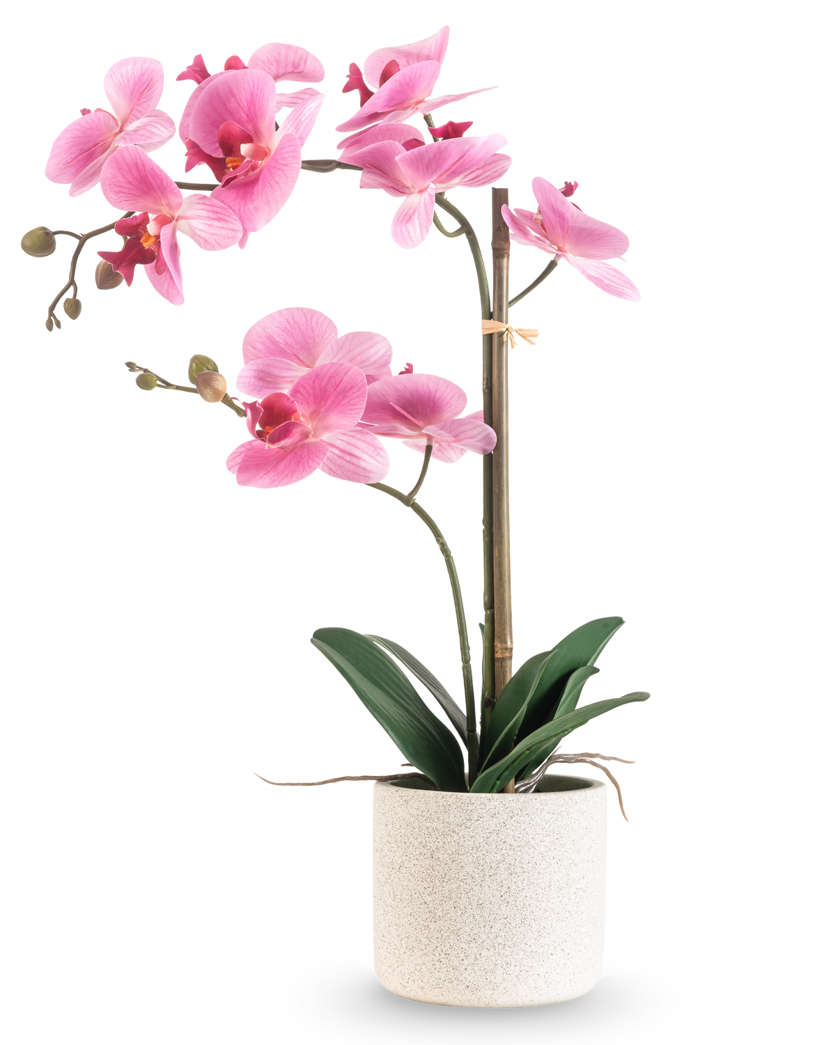 Die künstliche Orchidee Real Touch 60 cm rosa/weiß hat eine rosa-weiße Orchidee mit verschiedenen Blüten und grünen Blättern in einem weißen, strukturierten Topf, der von einem dünnen Bambusstab getragen wird, vor einem schlichten weißen Hintergrund.