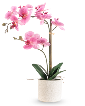 Die künstliche Orchidee Real Touch 60 cm rosa/weiß hat eine rosa-weiße Orchidee mit verschiedenen Blüten und grünen Blättern in einem weißen, strukturierten Topf, der von einem dünnen Bambusstab getragen wird, vor einem schlichten weißen Hintergrund.
