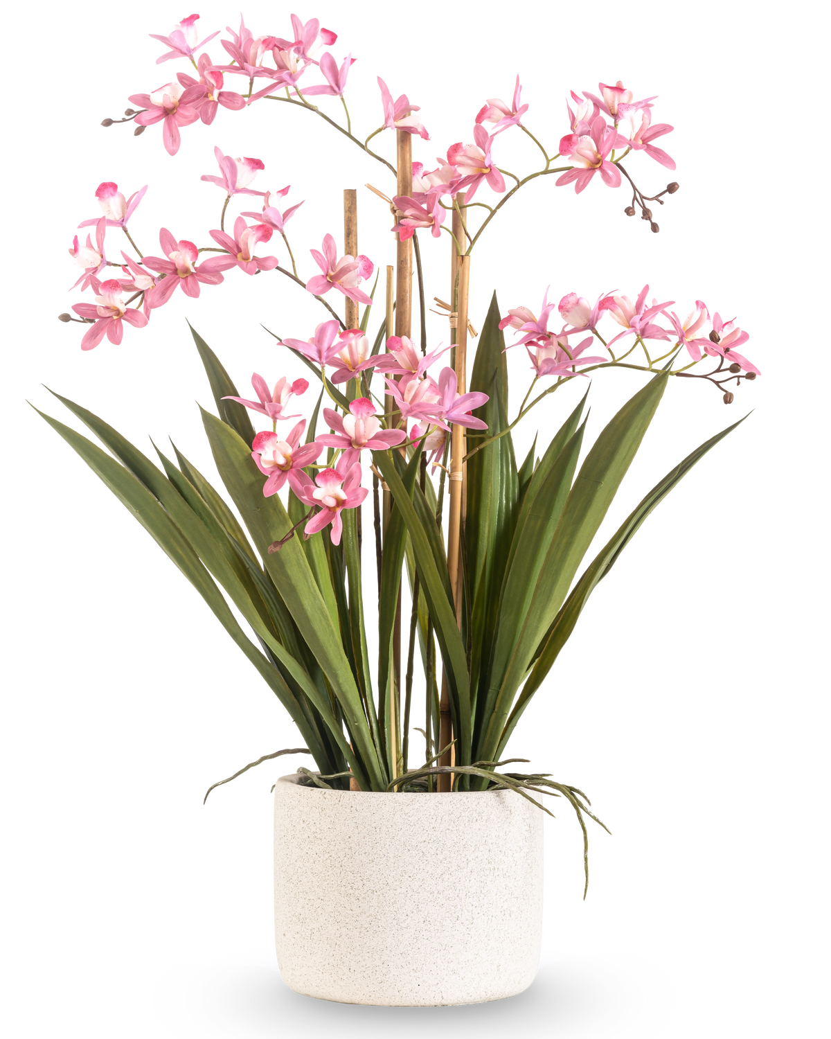 Die künstliche Pflanze Mini Cymbidium Real Touch 58 cm rosa hat lange grüne Blätter und mehrere rosa Blütenstiele, die in einem strukturierten weißen zylindrischen Topf vor einem schlichten weißen Hintergrund angeordnet sind.