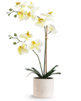 Die künstliche Orchidee Real Touch 60 cm grün/weiß hat weiße Blüten mit einem hellgelben Herzen und grünen Knospen, getragen von Bambus in einem schlichten cremefarbenen gesprenkelten Topf, vor einem weißen Hintergrund.