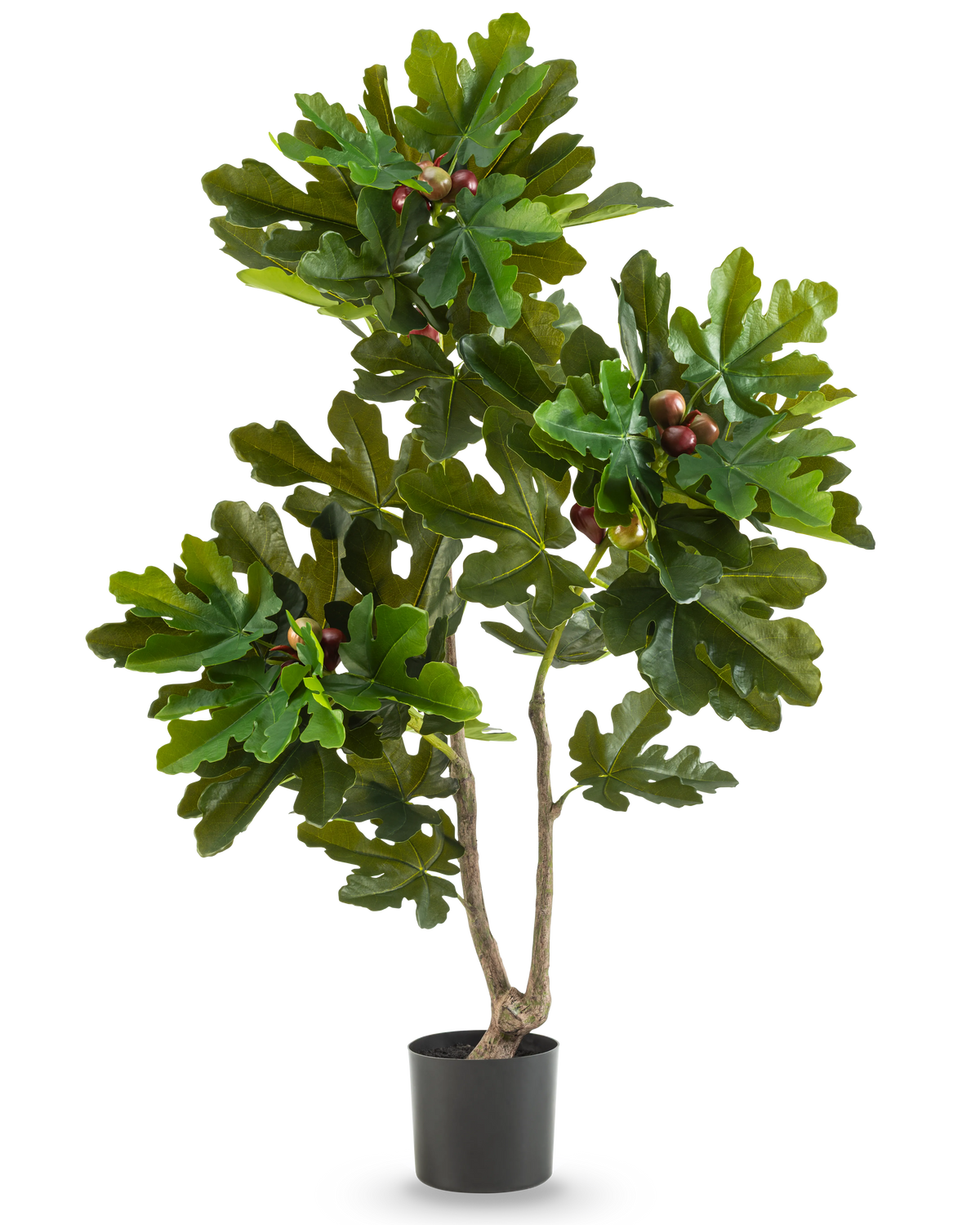 Der Kunstpflanze Ficus Carica Feigenbaum 120 cm hat sattgrüne Blätter und kleine braune Früchte in einem schwarzen Topf vor einem schlichten weißen Hintergrund.