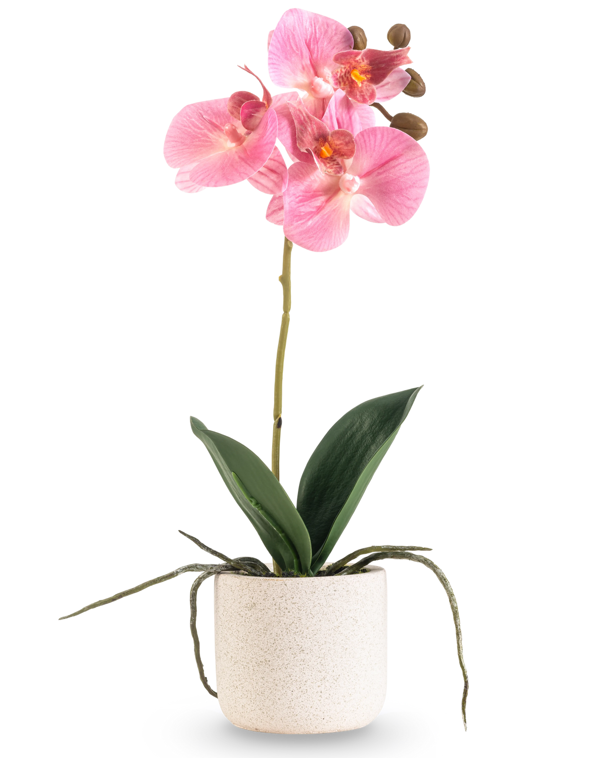 Die künstliche Orchidee Real Touch 30 cm rosa hat mehrere rosa Blüten und Knospen an einem langen Stiel mit breiten grünen Blättern und sichtbaren Wurzeln, alle in einem einfachen weißen strukturierten Topf vor einem schlichten weißen Hintergrund angeordnet.