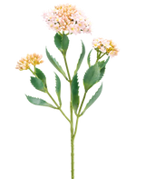 Die Kunstblume Kalanchoe 47 cm rosa hat einen einzelnen grünen Stiel mit drei Büscheln kleiner, hellrosa und pfirsichfarbener Blüten und länglichen, gezackten grünen Blättern, isoliert auf weißem Hintergrund.
