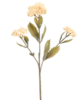 Die cremefarbene Kunstblume Kalanchoe 47 cm hat einen einzelnen künstlichen Stiel mit drei Büscheln kleiner, hellcremefarbener Blüten und grünen, gezackten Blättern vor einem schlichten weißen Hintergrund.