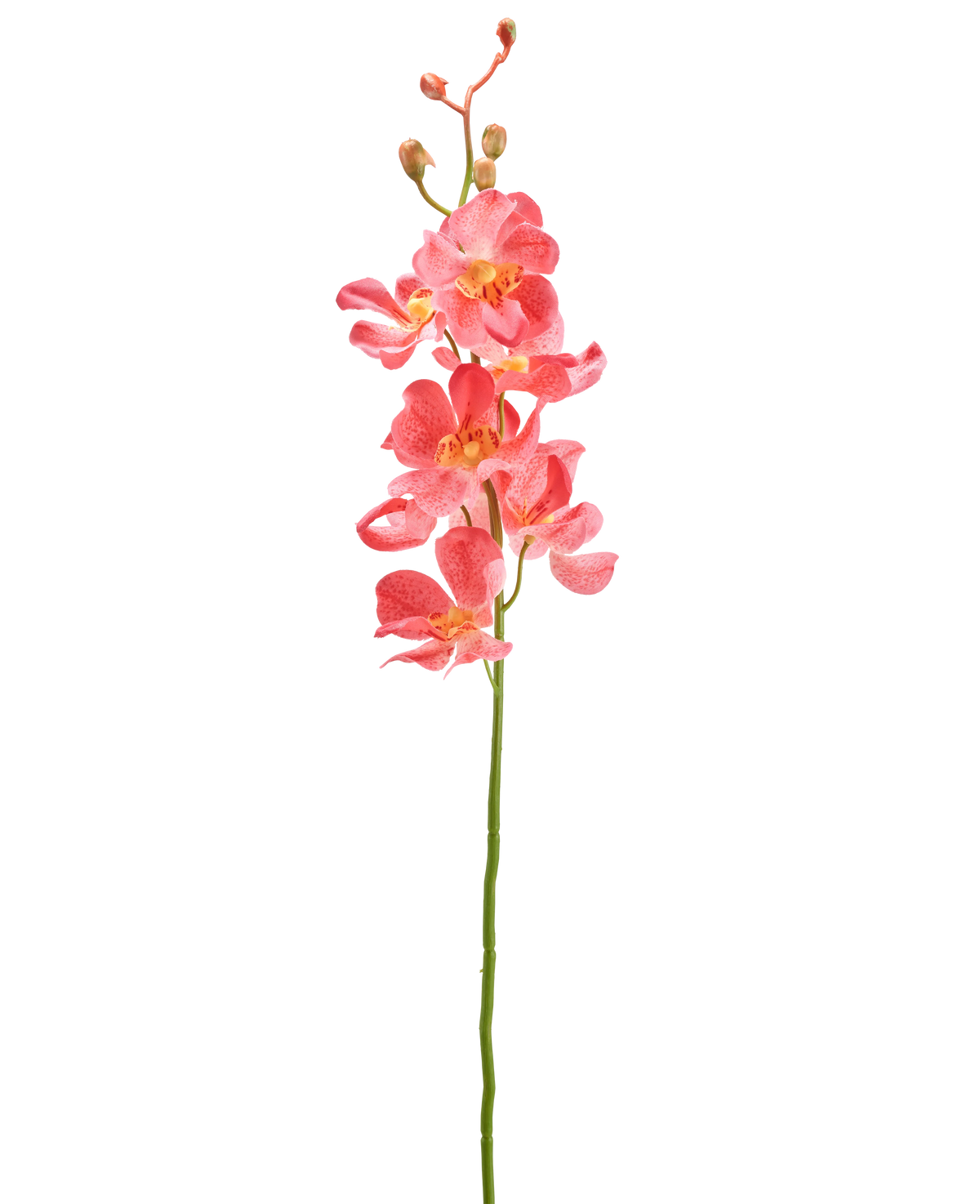Die künstliche Blumenorchidee 55 cm rosa hat einen einzelnen Stiel mit leuchtend rosa Orchideenblüten mit mehreren offenen Blüten und Knospen vor einem schlichten weißen Hintergrund.