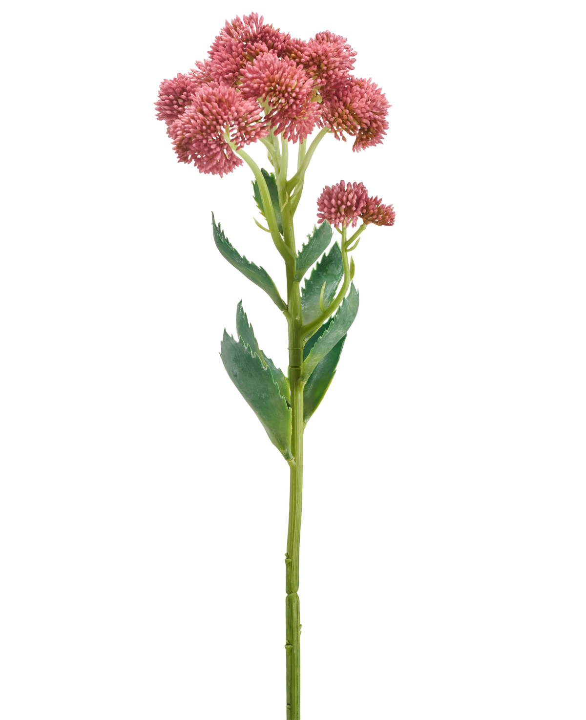 Ein einzelner Stiel der Kunstblume Sedum 57 cm lila zeigt Büschel kleiner, sternförmiger lila Blüten und grüner Blätter, die vor einem weißen Hintergrund dargestellt sind.