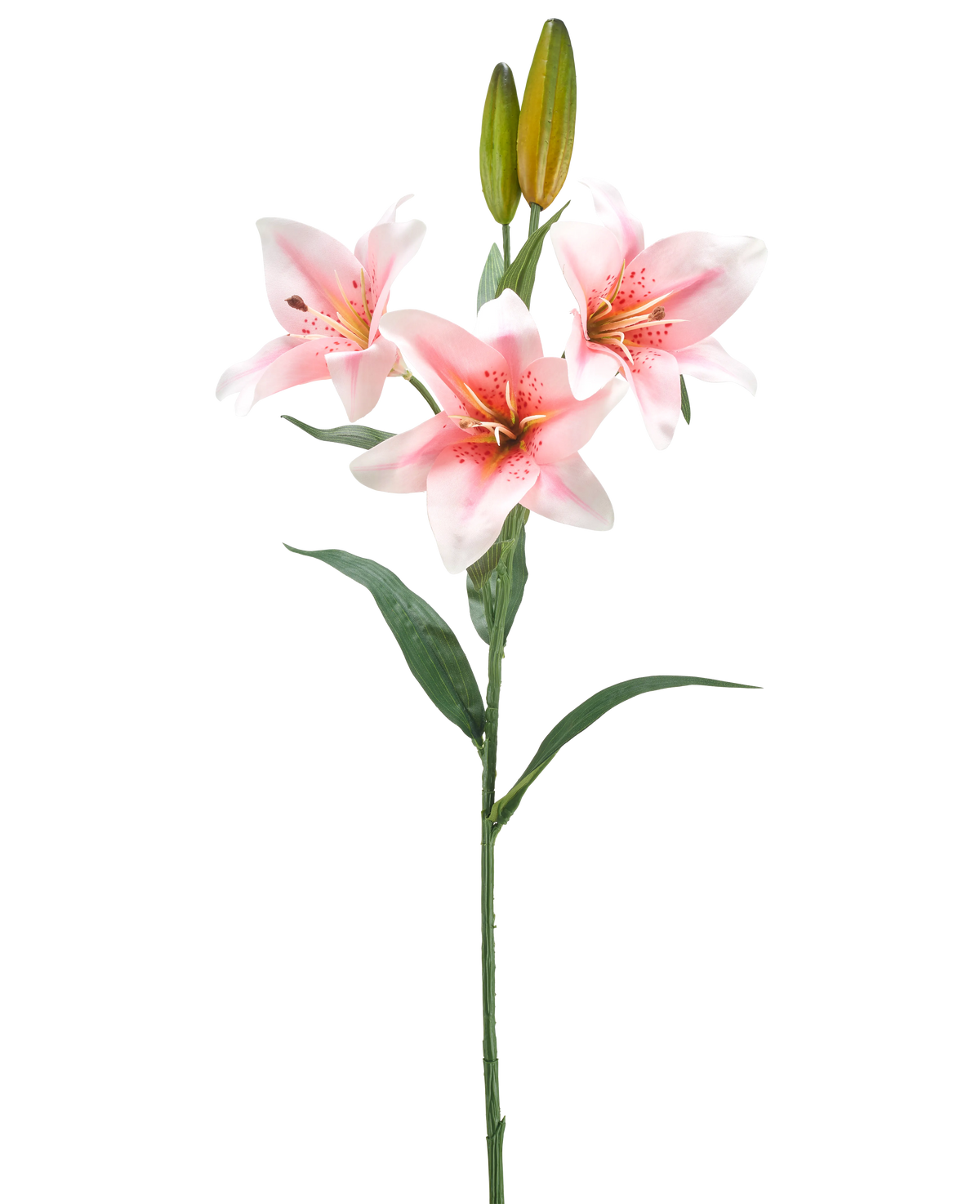 Ein einzelner Stiel der künstlichen Blumenlilie 78 cm weiß/rosa hat drei blühende rosa-weiße Lilien, zwei geschlossene Knospen und grüne Blätter vor einem schlichten weißen Hintergrund.