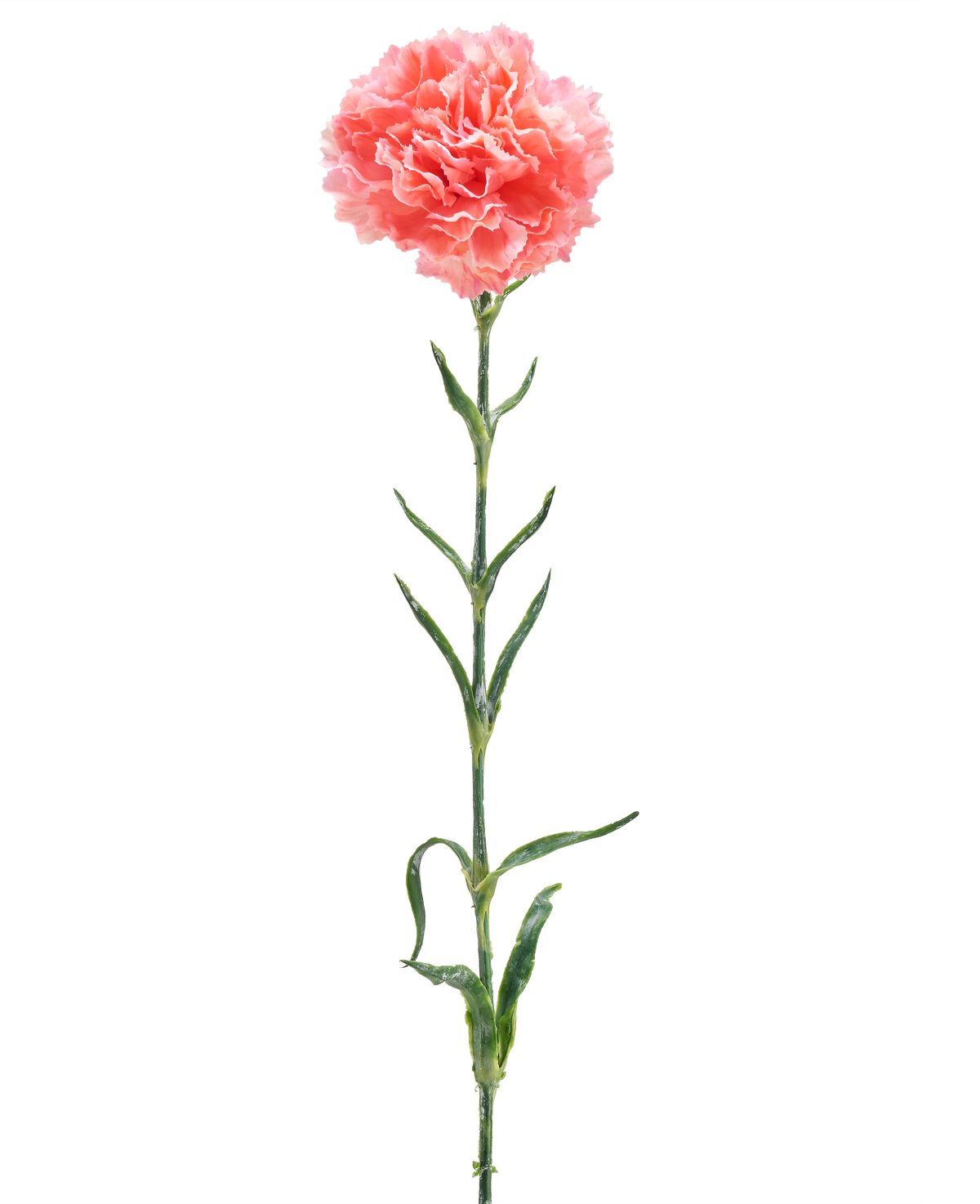 Die künstliche Blumennelke 68 cm lachsrosa ist eine einzelne künstliche Nelke mit Rüschen aus lachsrosa Blütenblättern, einem langen grünen Stiel und mehreren grünen Blättern, isoliert auf weißem Hintergrund.