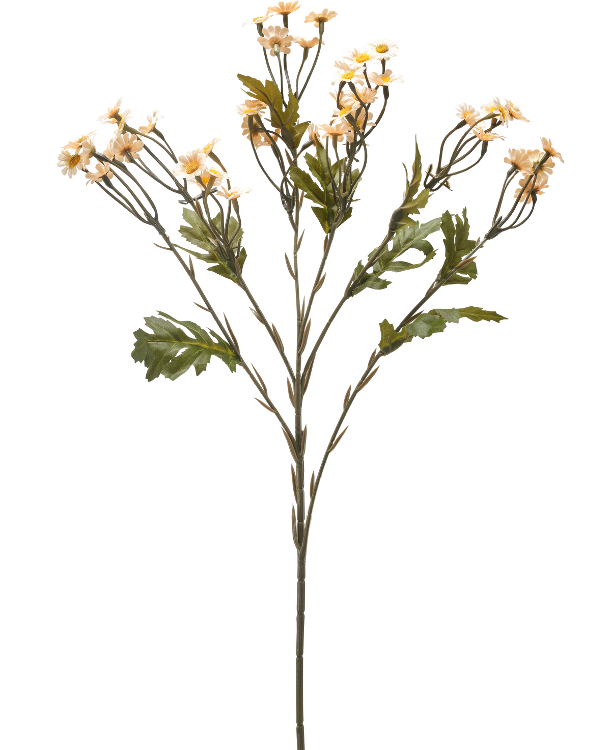 Die künstliche Blume Mini Gänseblümchen 61 cm creme ist ein einzelner künstlicher Blumenstiel mit mehreren Zweigen, grünen Blättern und kleinen cremefarbenen gänseblümchenähnlichen Blüten vor einem schlichten weißen Hintergrund.