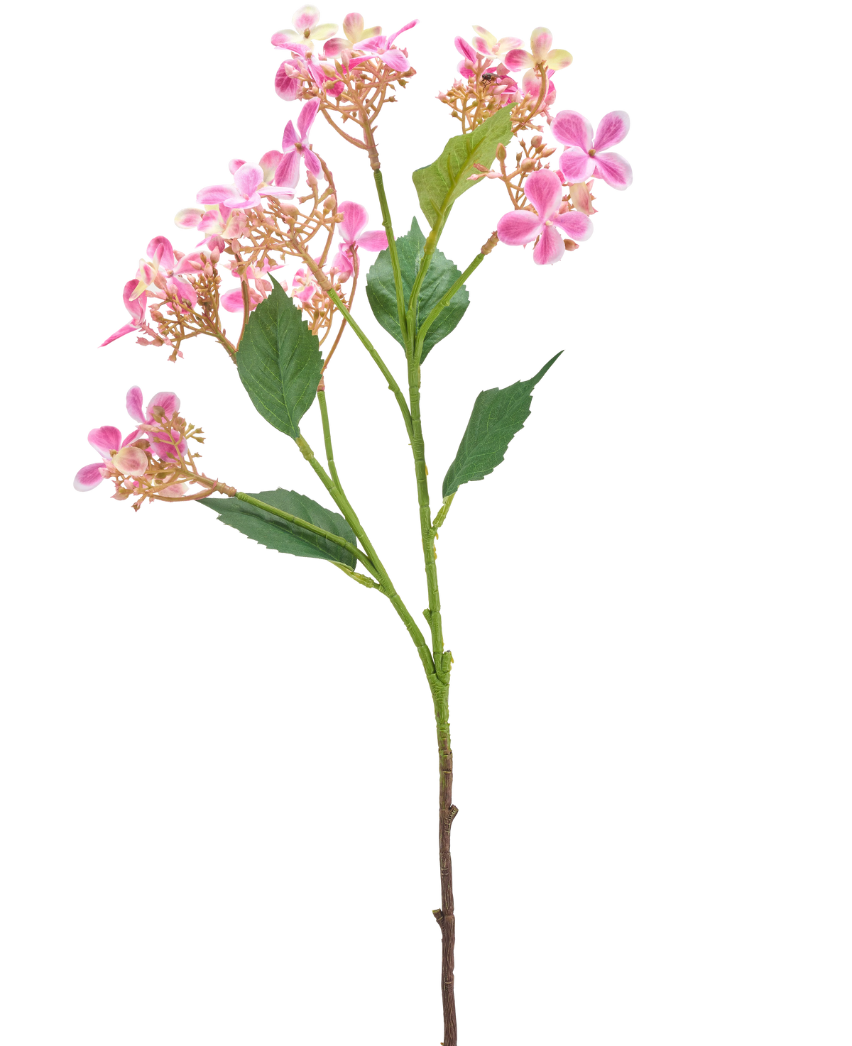 Die künstliche Blumen-Wildhortensie 62 cm rosa hat einen einzelnen Stiel mit mehreren Büscheln kleiner rosa-weißer Blüten und grüner Blätter, isoliert auf weißem Hintergrund.