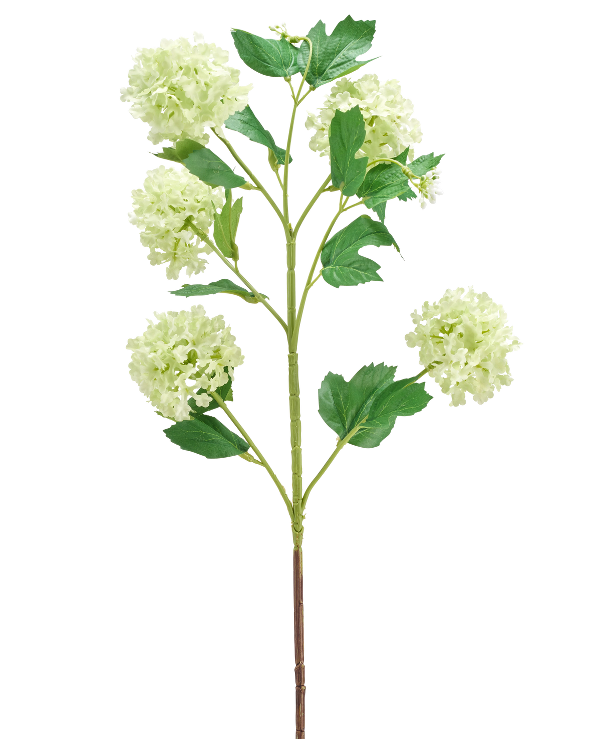 Der künstliche Blumen-Schneeball 77 cm grün hat einen einzelnen grünen Stiel mit mehreren Zweigen, die jeweils mit Büscheln runder, hellgrüner Blüten und mehreren grünen Blättern verziert sind, alle isoliert auf einem weißen Hintergrund.