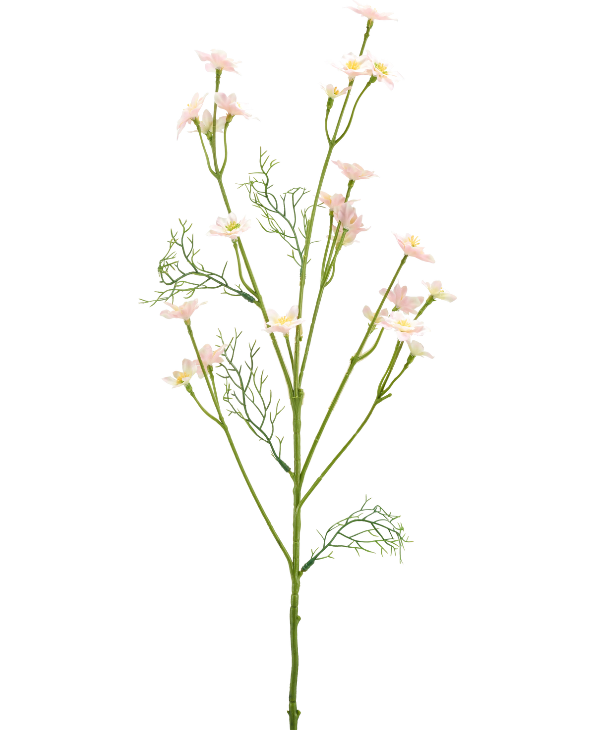 Die künstliche Wildblume 68 cm hellrosa hat einen einzelnen grünen Stiel mit gefiederten Blättern und mehreren Zweigen, die mit kleinen, hellrosa Blüten verziert sind, vor einem schlichten weißen Hintergrund.