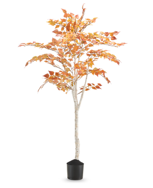 Die künstliche Birke „Herbst“ 150 cm ist eine hohe künstliche Birke mit einem schlanken weißen Stamm und orange-gelben Herbstblättern, in einem kleinen schwarzen Topf vor einem schlichten weißen Hintergrund.