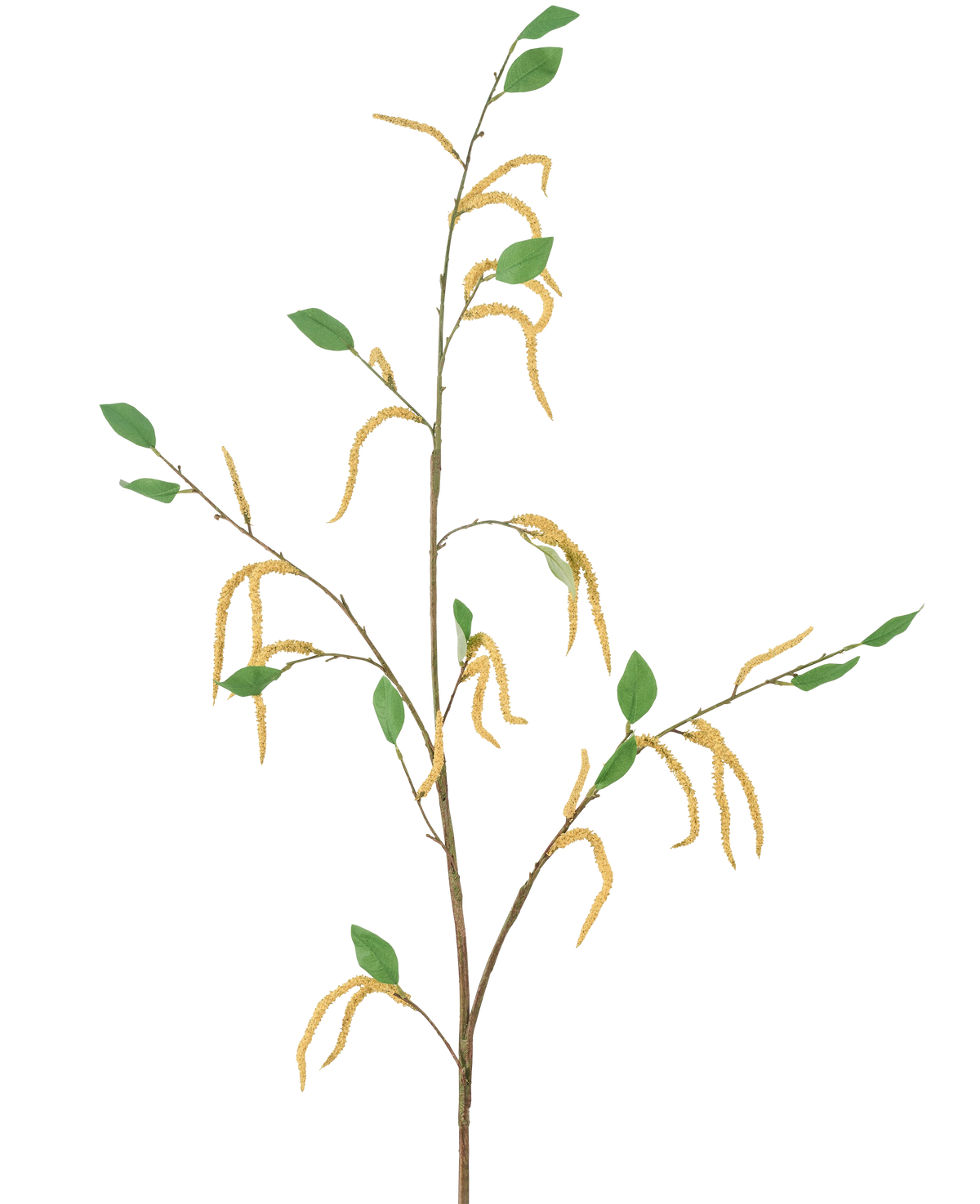 Die Kunstblume Amaranth 147 cm gelb besteht aus einem schlanken Zweig mit grünen Blättern und mehreren hängenden gelben Kätzchen, dargestellt vor einem weißen Hintergrund.