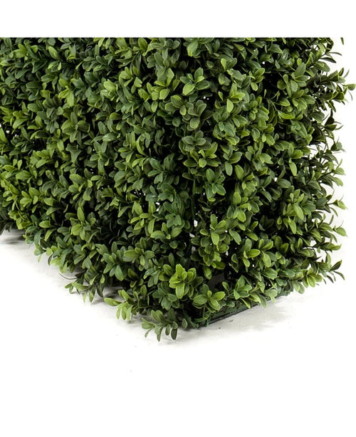 Künstliche Buchsbaumhecke UV 100x20x50 cm Heckenplatte mit kleinen, glänzend grünen Blättern auf weißem Hintergrund abgebildet.