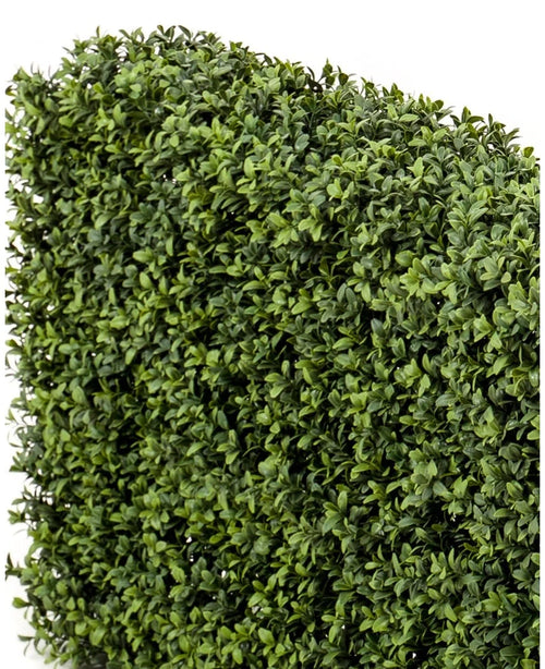 Eine Nahaufnahme der künstlichen Buchsbaumhecke UV 100 x 20 x 50 cm Heckenpaneele mit dicht gepackten kleinen grünen Blättern vor einem weißen Hintergrund.