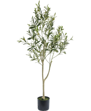 Der künstliche Olivenbaum 120 cm hat schlanke Zweige und grüne Blätter in einem schlichten schwarzen Topf, ideal als Dekoelement für eine mediterrane Atmosphäre auf weißem Hintergrund.