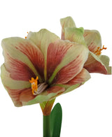 Eine Nahaufnahme der Kunstblume Amaryllis Real Touch Rot/Gelb 48 cm zeigt die leuchtend roten und gelben Blütenblätter, die lebensechte Textur und die grünen Blätter vor einem weißen Hintergrund.