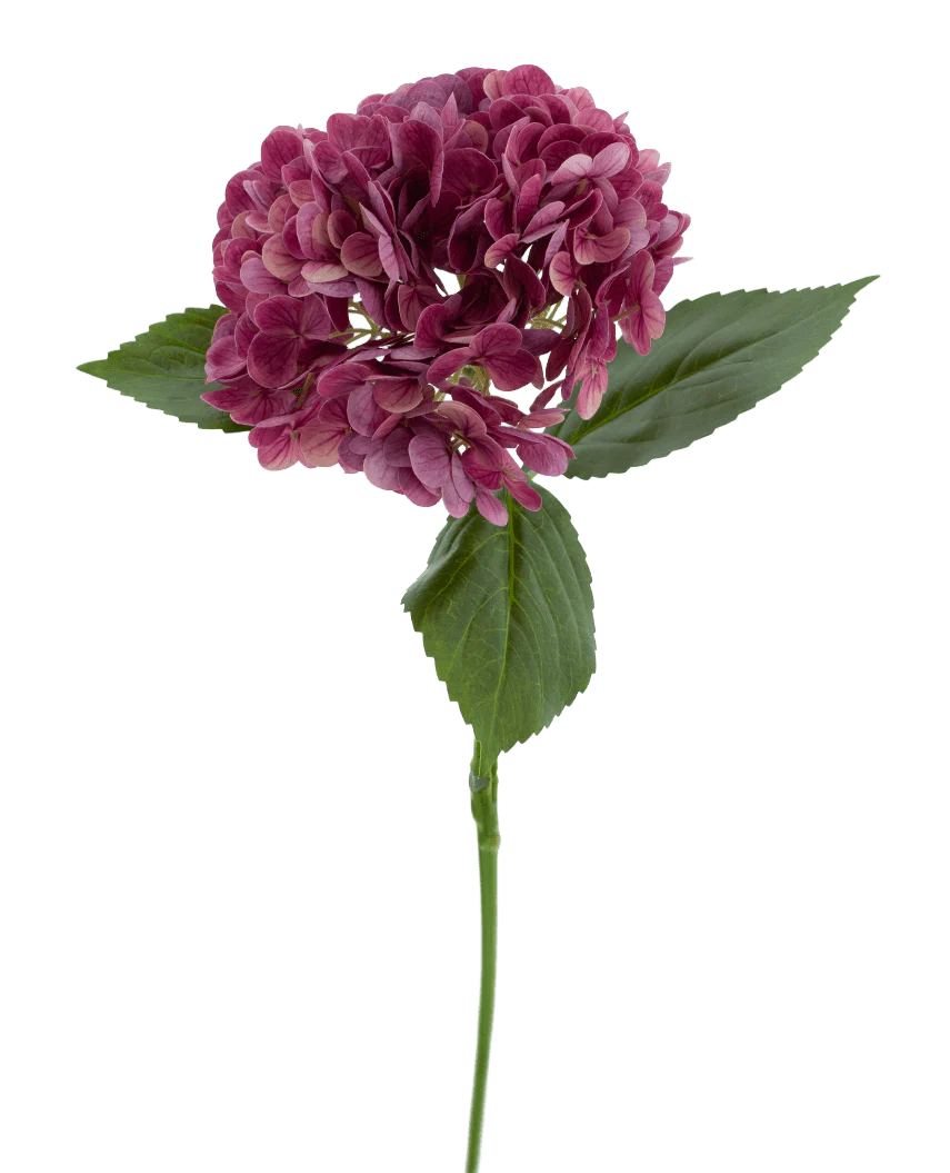 Die künstliche Blume Charlotte Hydrangea Real Touch lila 55 cm hat einen einzelnen Stiel einer lila Hortensie mit mehreren kleinen Blütenblättern und grünen Blättern vor einem schlichten weißen Hintergrund.