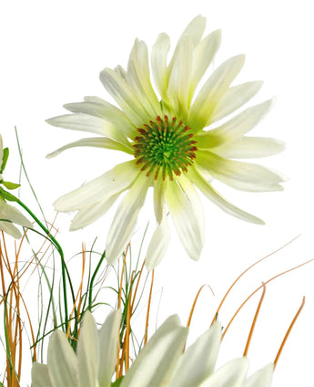 Eine Nahaufnahme des feuerhemmenden Kunstrasen-Chrysanthemen-Zwiebeltopfs (90 cm) mit einer weißen gänseblümchenähnlichen Blume mit einem grünen Herzen inmitten dünner grüner und brauner grasähnlicher Stängel, alles vor einem weißen Hintergrund.