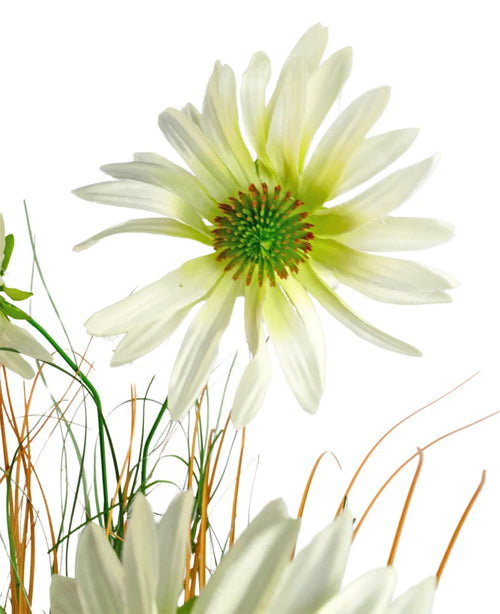 Eine Nahaufnahme des feuerhemmenden Kunstrasen-Chrysanthemen-Zwiebeltopfs (90 cm) mit einer weißen gänseblümchenähnlichen Blume mit einem grünen Herzen inmitten dünner grüner und brauner grasähnlicher Stängel, alles vor einem weißen Hintergrund.