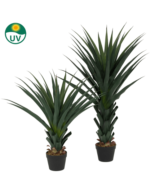 Die Kunstpflanze Agave Pandora UV 120 cm hat lange, spitze grüne Blätter und ist auf weißem Hintergrund abgebildet. Ein grünes UV-Sonnensymbol oben links hebt die UV-Beständigkeit hervor.