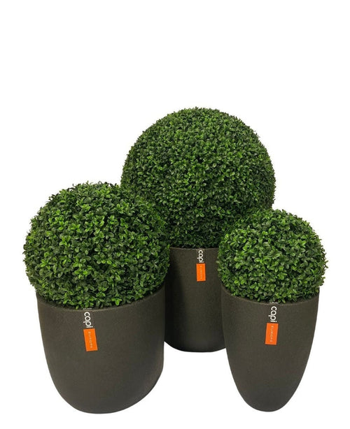 Die Kunstpflanze Buchsbaum im römischen Stil UV D40 cm besteht aus drei künstlichen, runden Formschnittpflanzen mit dichtem grünem Laub in mattschwarzen zylindrischen Töpfen, die jeweils mit einem kleinen orangefarbenen Etikett verziert sind. Vor einem weißen Hintergrund dargestellt.