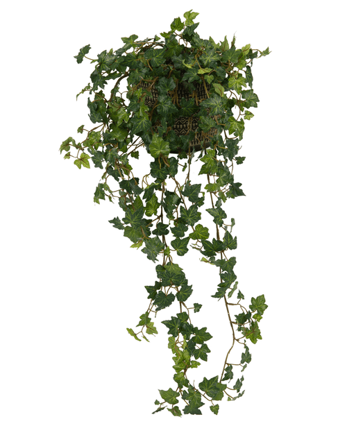 Der künstliche Efeu Deluxe Green 90 cm ist ein Hängekorb mit üppigen, grünen Efeuranken, die sich elegant vor einem weißen Hintergrund abheben.