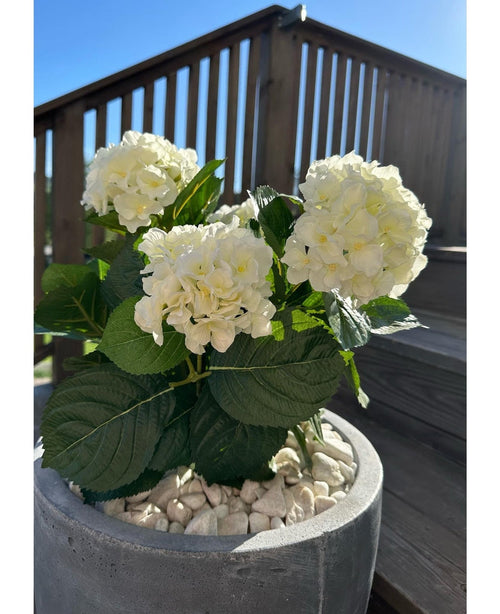Die künstliche Hortensie White UV 35 cm mit weißen Blüten und grünen Blättern steht an einem sonnigen Tag draußen auf weißen Kieselsteinen, mit Terrassengeländer aus Holz und einer Treppe im Hintergrund.